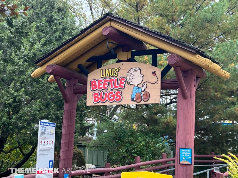 Linus Beetle Bugs at Cedar Point