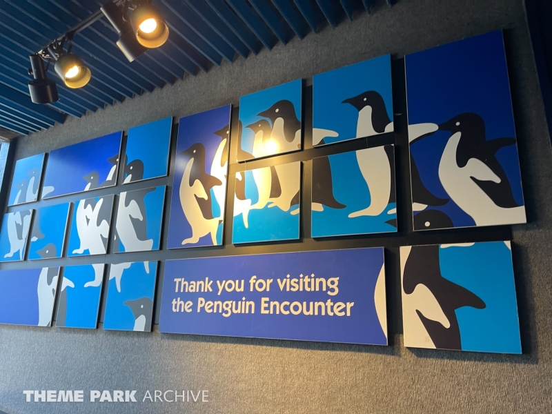 Penguin Encounter at SeaWorld San Diego