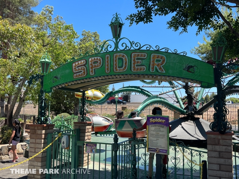 Spider at Castle Park