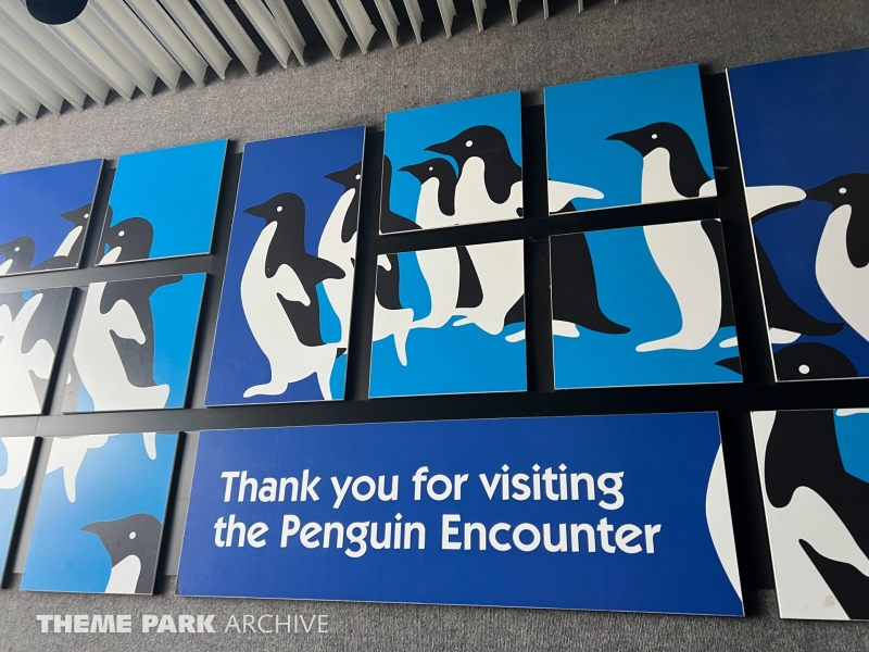 Penguin Encounter at SeaWorld San Diego