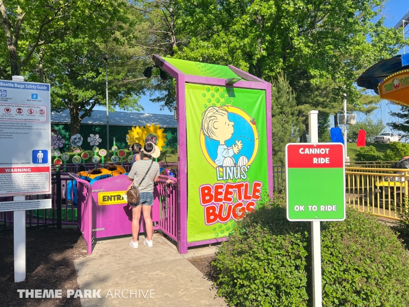 Linus' Beetle Bugs at Worlds of Fun