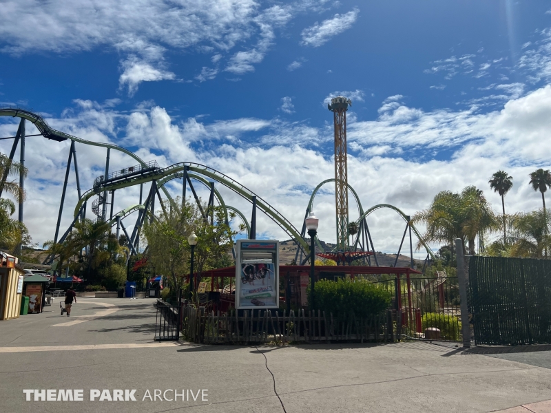 Cobra at Six Flags Discovery Kingdom