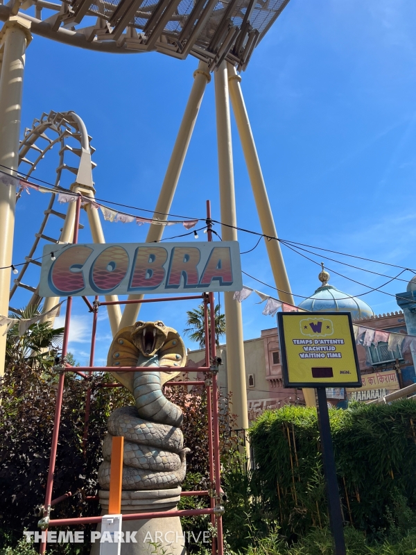 Cobra at Walibi Belgium