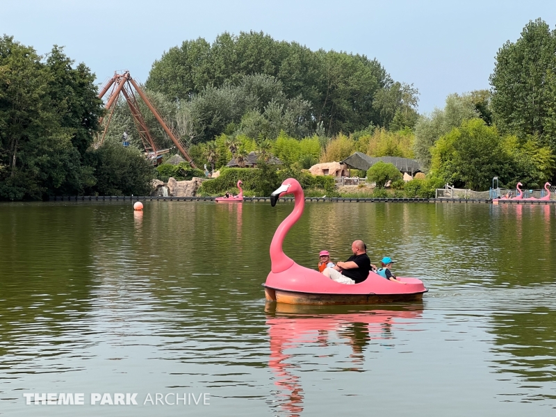 Les Flamingos at Bagatelle