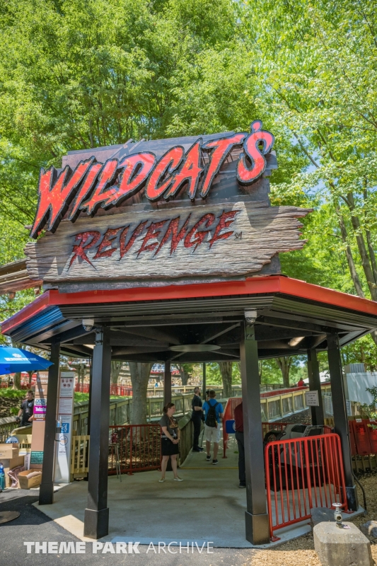 Wildcat's Revenge at Hersheypark