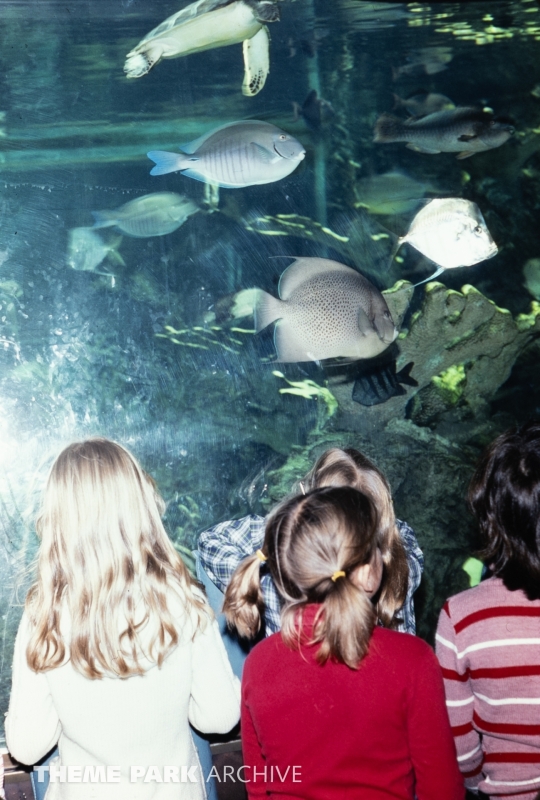 World of the Sea Aquarium at SeaWorld Ohio