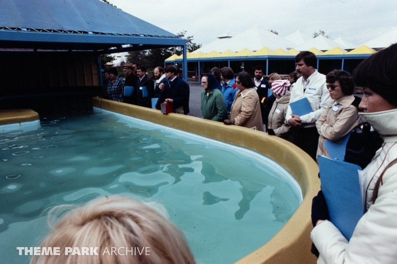 Whale and Dolphin Petting Pool at SeaWorld Ohio