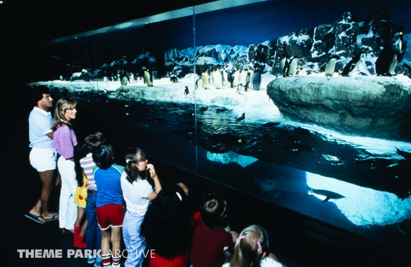 Penguin Encounter at SeaWorld Ohio