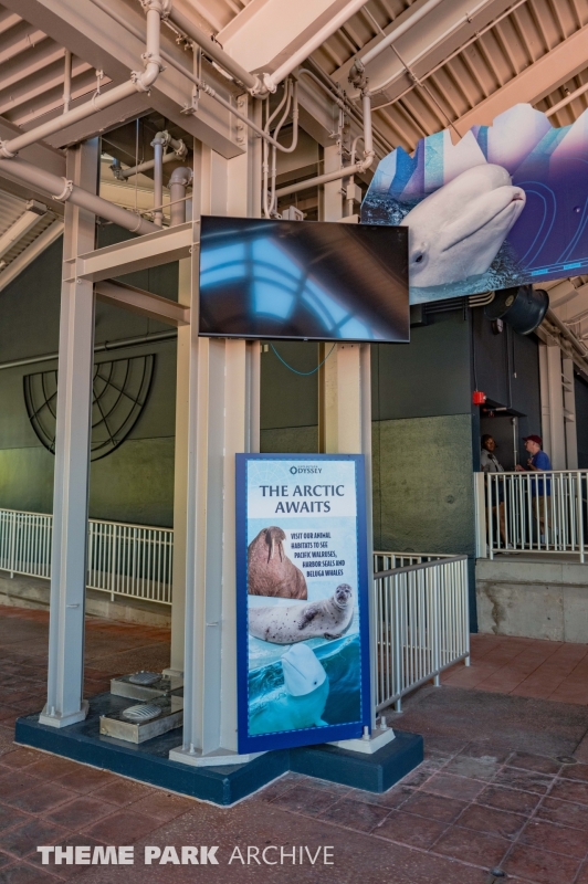 Expedition Odyssey at SeaWorld Orlando