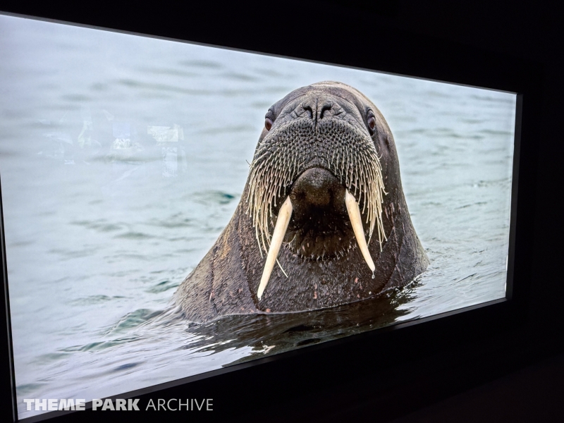 Expedition Odyssey at SeaWorld Orlando