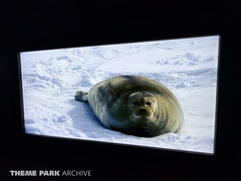 Expedition Odyssey at SeaWorld Orlando