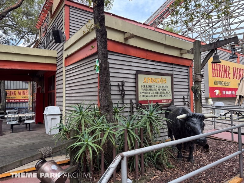 Medusa Steel Coaster at Six Flags Mexico