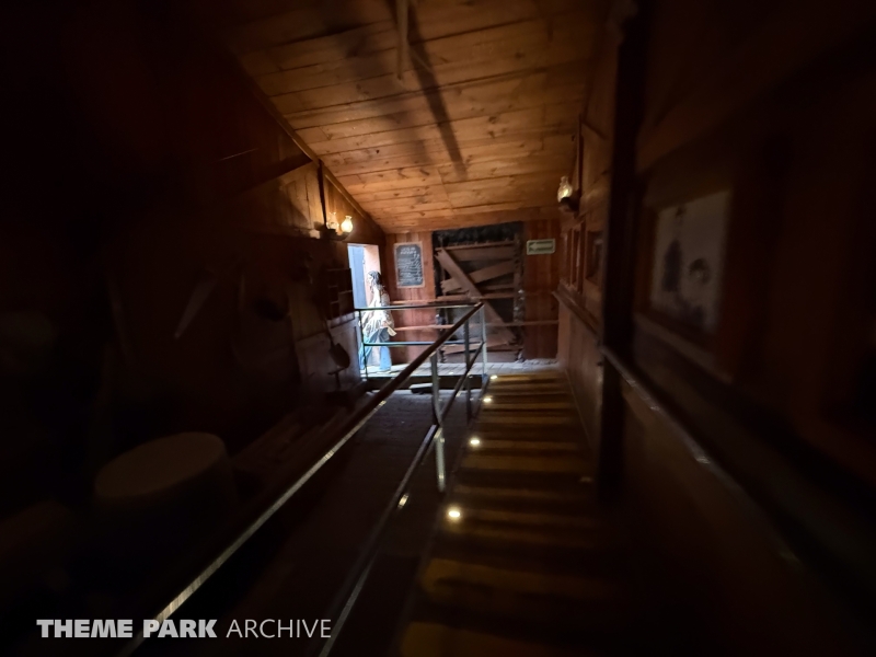 Medusa Steel Coaster at Six Flags Mexico