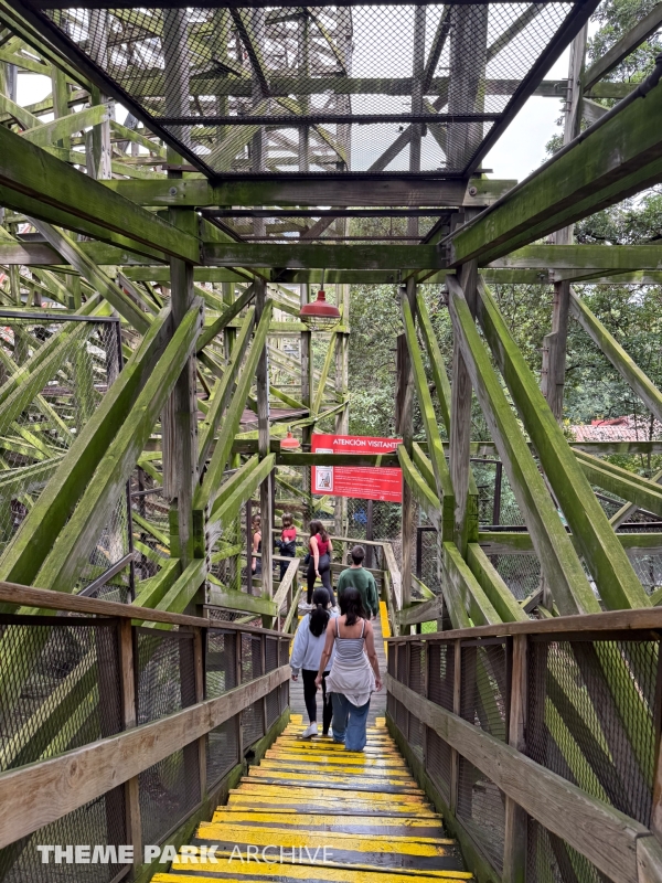 Medusa Steel Coaster at Six Flags Mexico