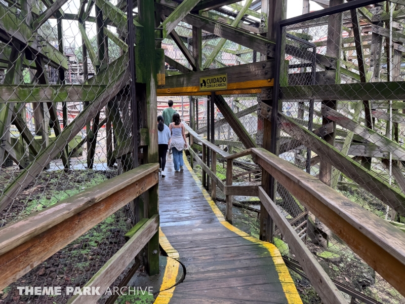 Medusa Steel Coaster at Six Flags Mexico
