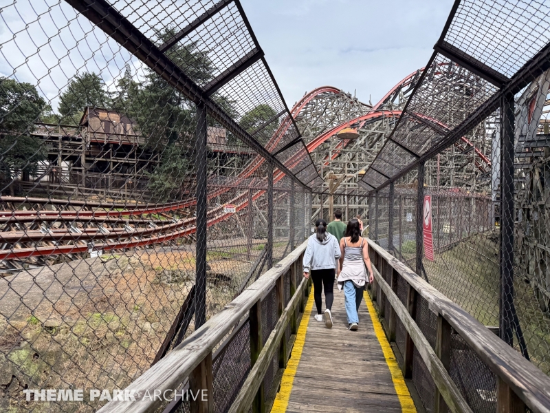Medusa Steel Coaster at Six Flags Mexico