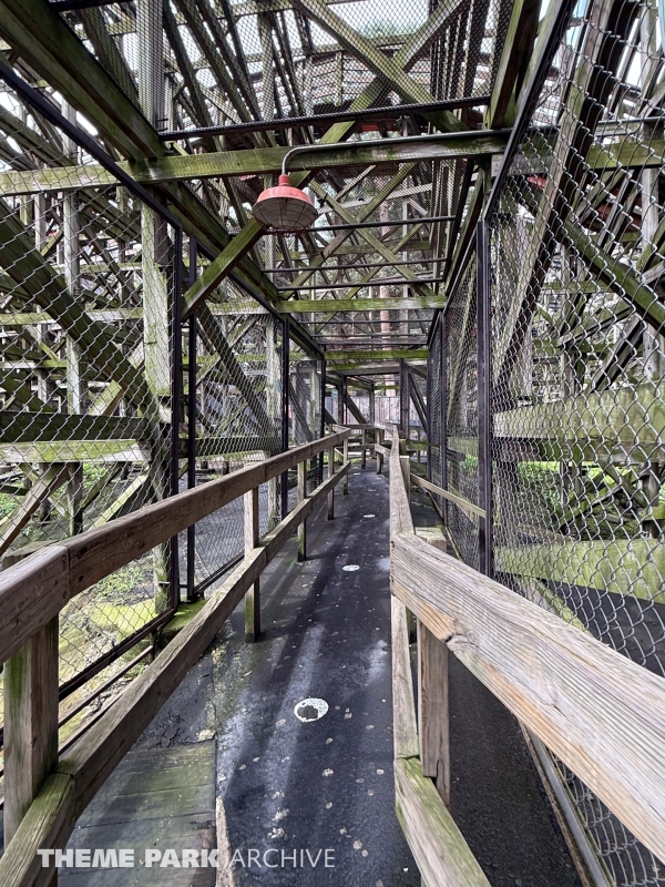 Medusa Steel Coaster at Six Flags Mexico