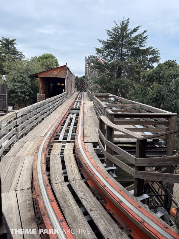 Medusa Steel Coaster at Six Flags Mexico