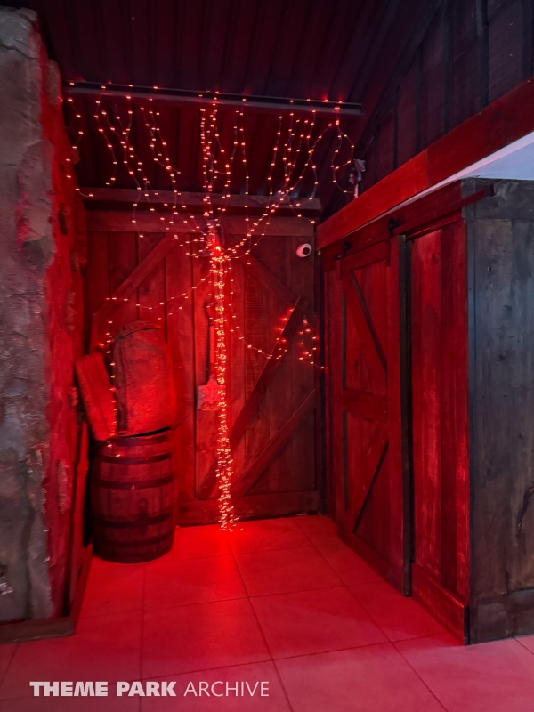 Medusa Steel Coaster at Six Flags Mexico