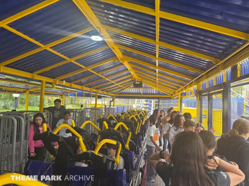 Batgirl Batarang at Six Flags Mexico