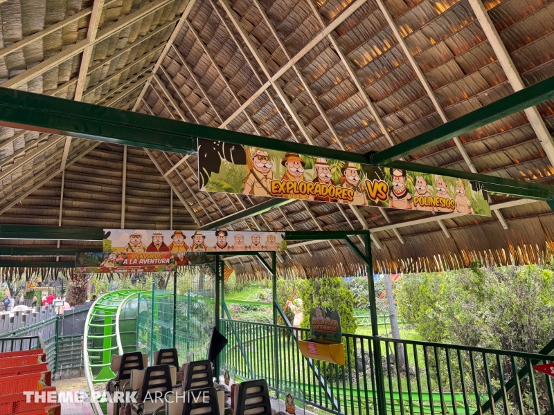 Tsunami at Six Flags Mexico
