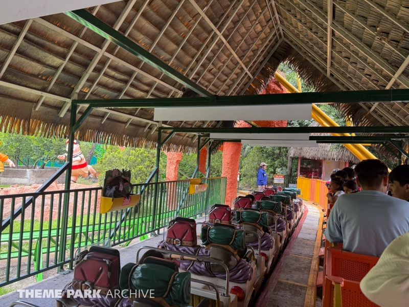 Tsunami at Six Flags Mexico