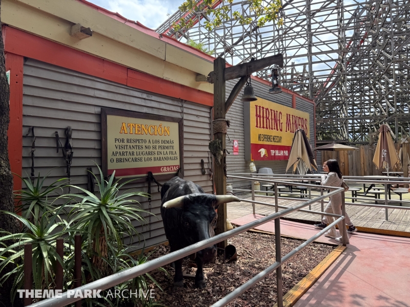 Medusa Steel Coaster at Six Flags Mexico