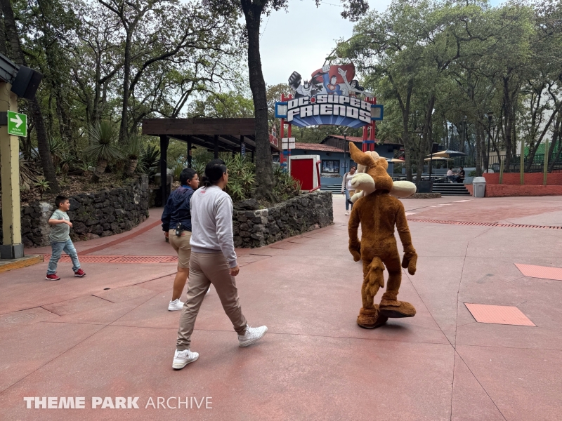 Misc at Six Flags Mexico