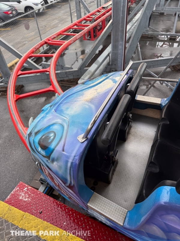 Sea Viper at Palace Playland