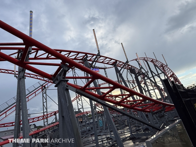 Sea Viper at Palace Playland