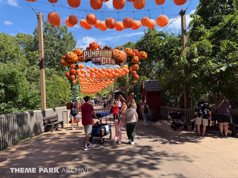 Valley Road at Silver Dollar City