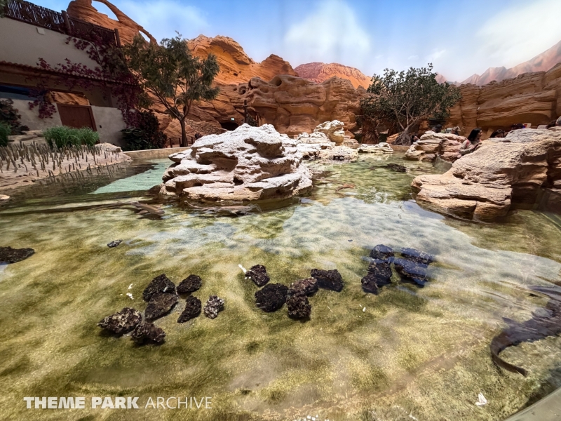 Entrance at SeaWorld Yas Island