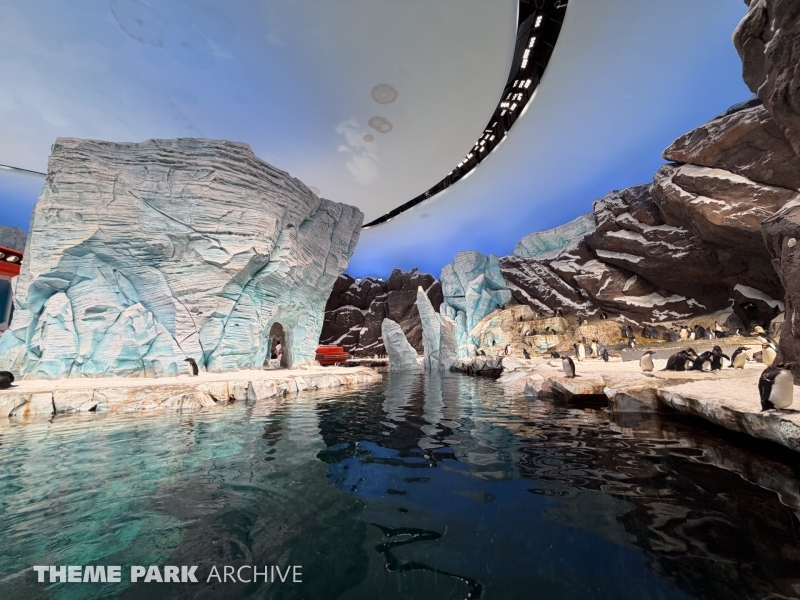 Antarctica at SeaWorld Yas Island
