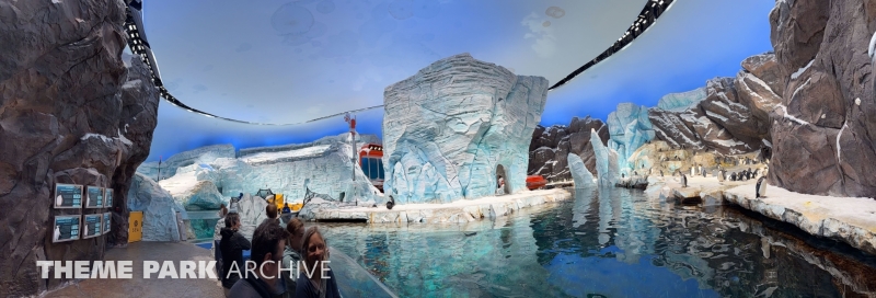 Antarctica at SeaWorld Yas Island