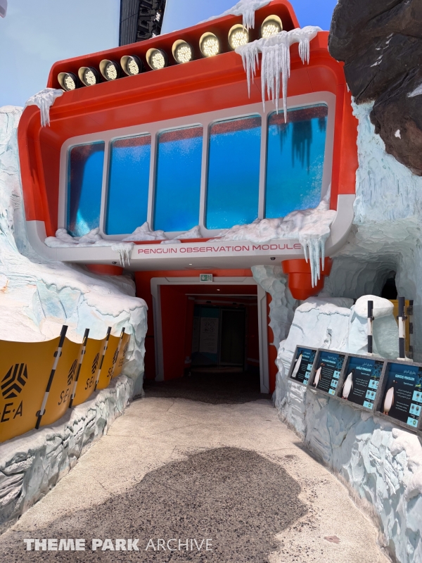 Antarctica at SeaWorld Yas Island