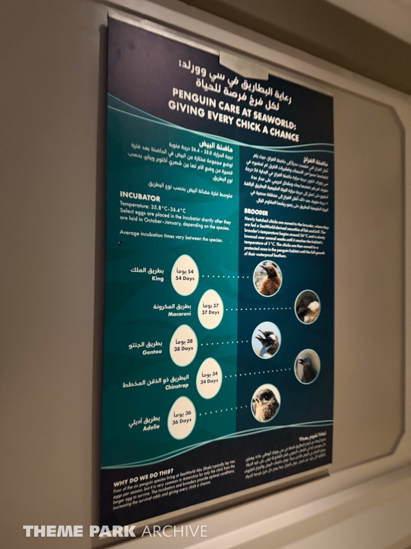 Antarctica at SeaWorld Yas Island