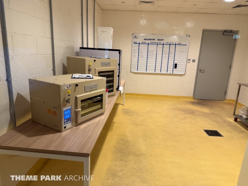 Antarctica at SeaWorld Yas Island