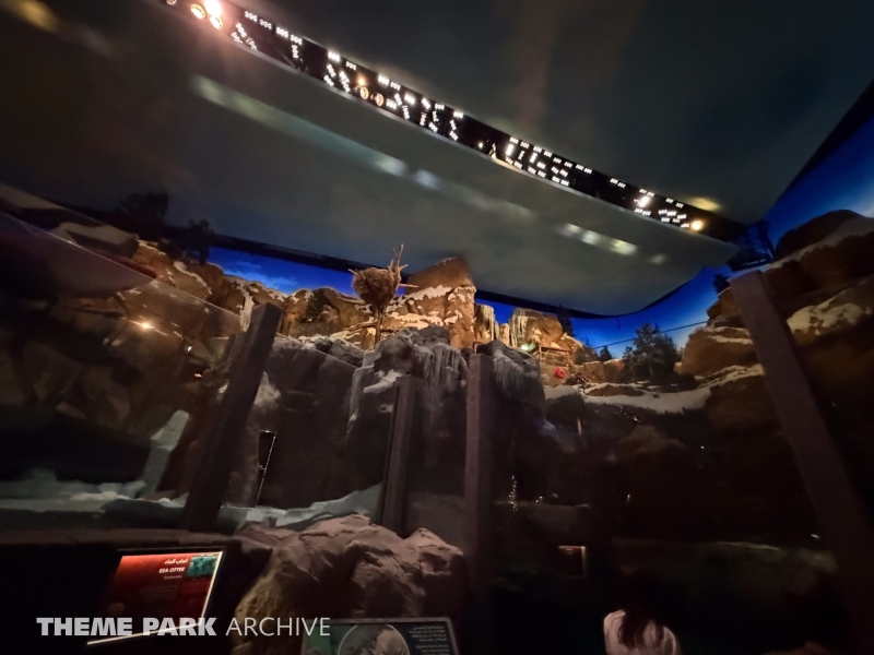 Arctic at SeaWorld Yas Island