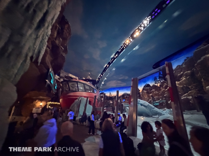 Arctic at SeaWorld Yas Island