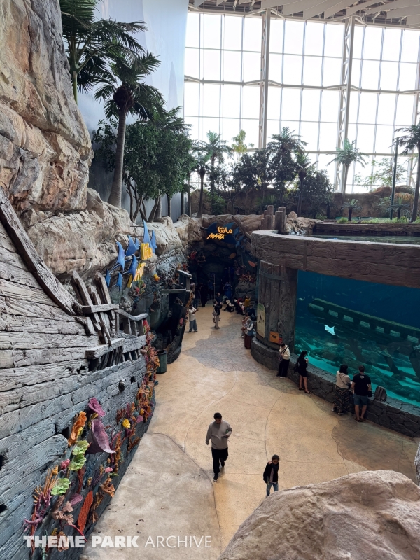 Manta at SeaWorld Yas Island