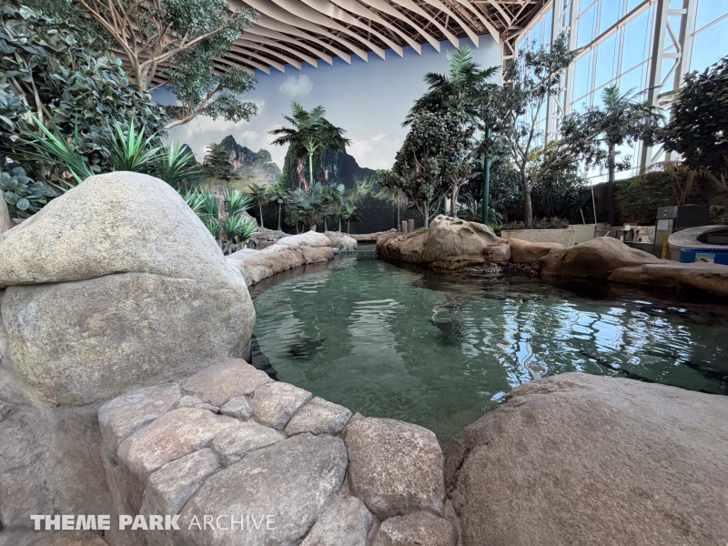 Tropical Ocean at SeaWorld Yas Island