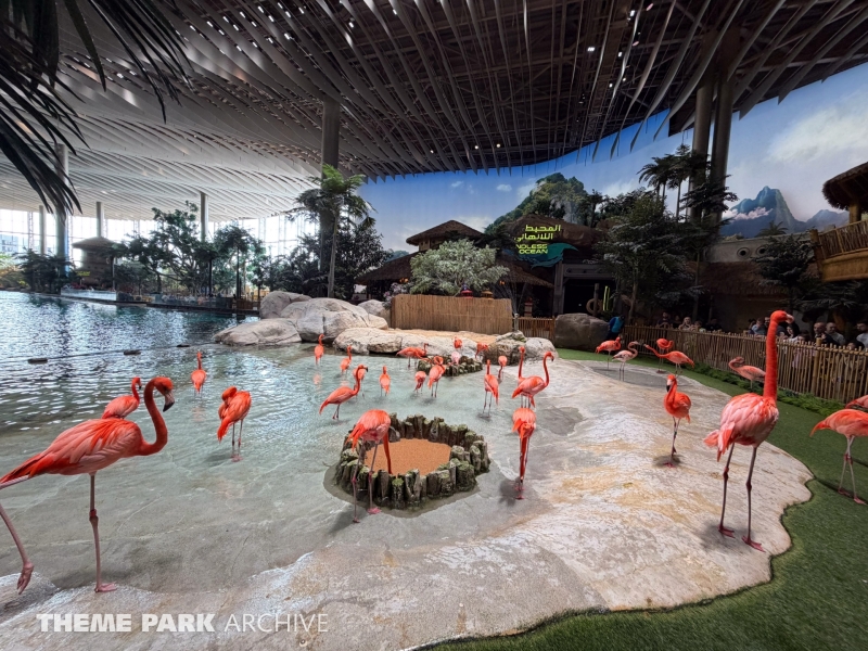 Flamingo Point at SeaWorld Yas Island