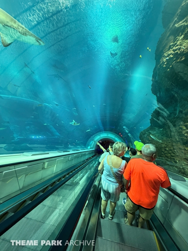 Endless Ocean at SeaWorld Yas Island