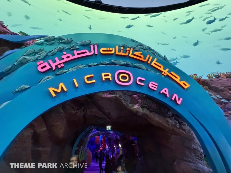 Microocean at SeaWorld Yas Island