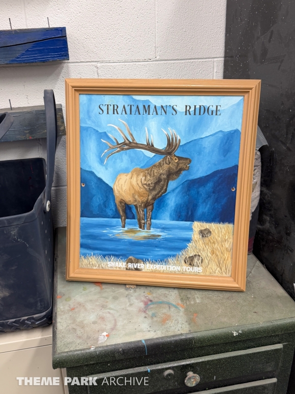 Planning and Design at Cedar Point