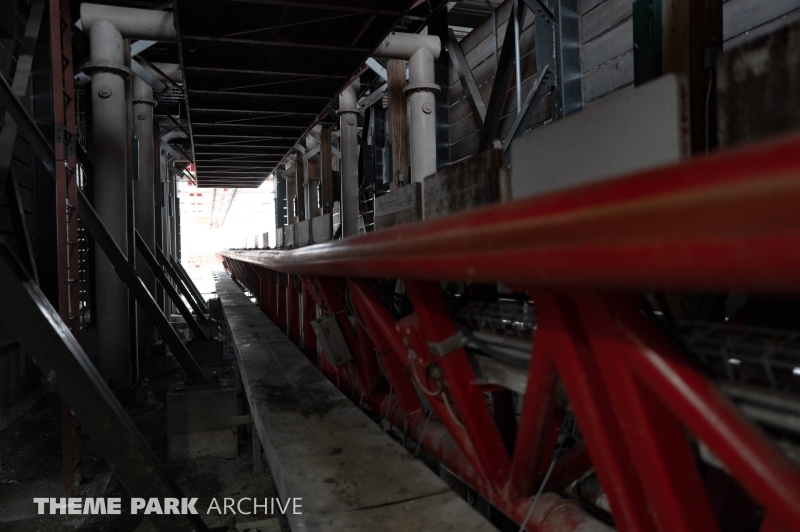 Maverick at Cedar Point