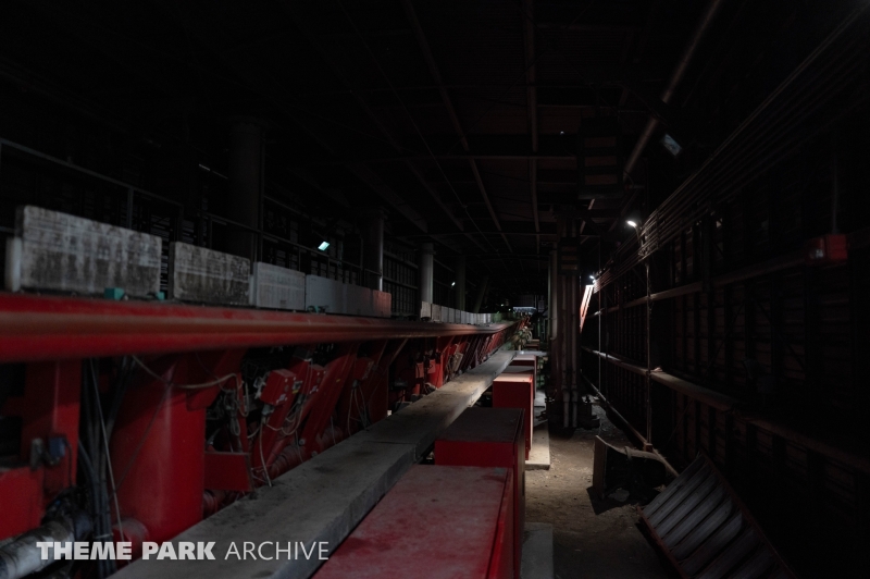 Maverick at Cedar Point