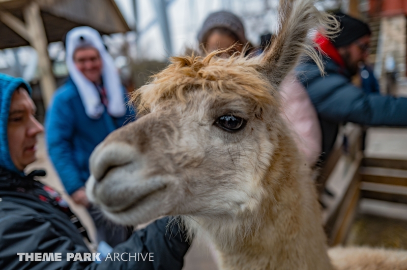 The Barnyard at Cedar Point