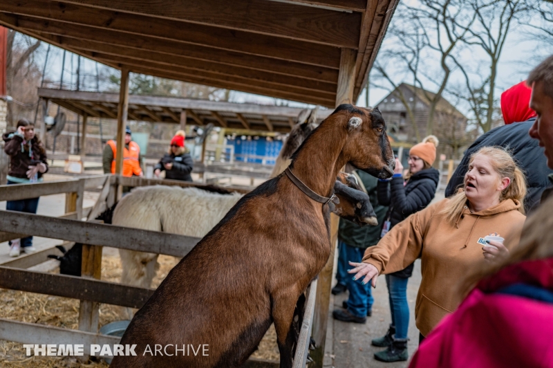 The Barnyard at Cedar Point