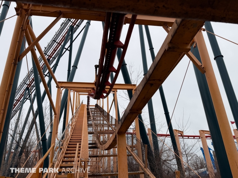 Iron Dragon at Cedar Point